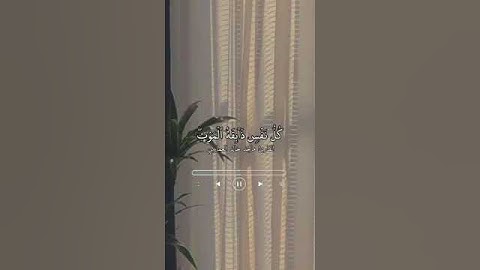 القارئ ماجد خالد العماري.