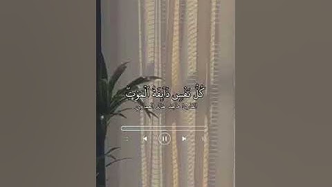 القارئ ماجد خالد العماري.