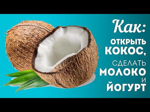 Как ОТКРЫТЬ КОКОС, сделать вкусное КОКОСОВОЕ МОЛОКО и приготовить из него Кокосовый ЙОГУРТ🍴