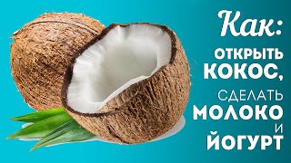 Как ОТКРЫТЬ КОКОС, сделать вкусное КОКОСОВОЕ МОЛОКО и приготовить из него Кокосовый ЙОГУРТ🍴