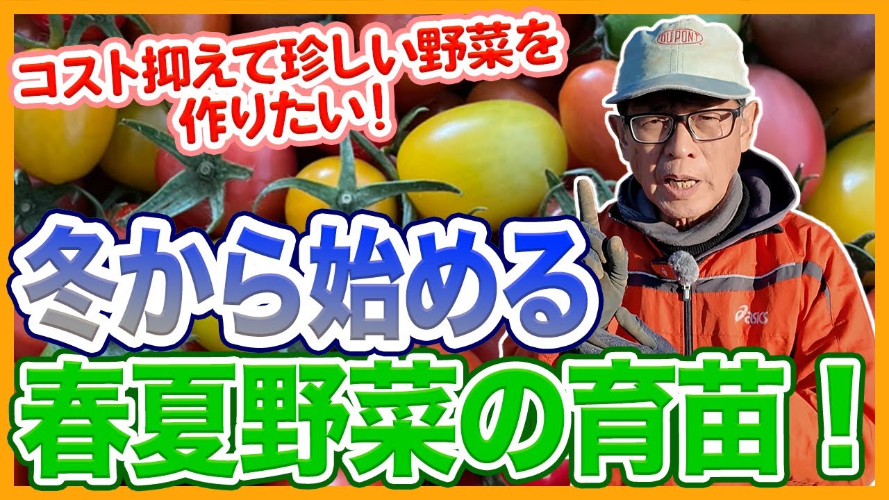 野菜作りの実際 プロが教えるはじめての野菜づくりDVD60分付き｜西東社｜『人生を
