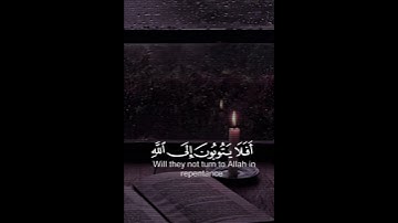 {أفلا يتوبون إلى الله ويستغفرونه} القارئ عبد الرحمن مسعد (سورة المائدة)♡