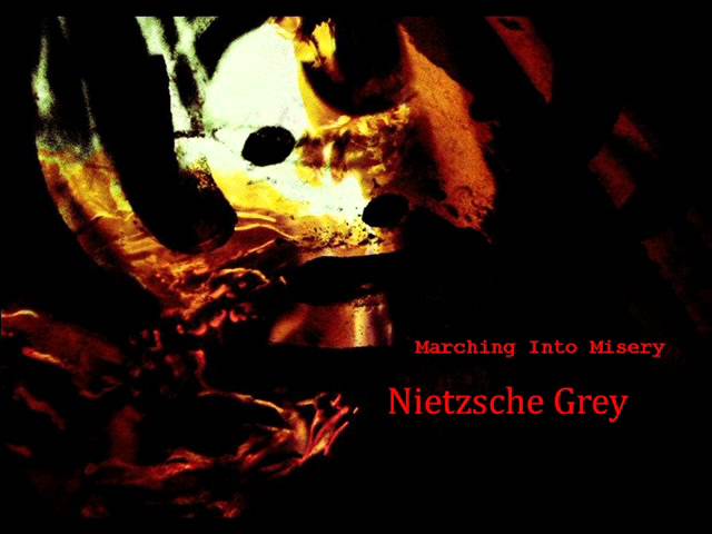 28 bit misery- Nietzsche Grey class=