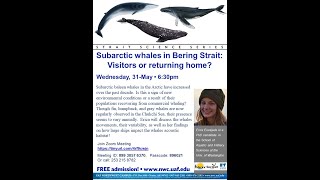 Subarctic Baleen Whales - Strait Science, May 31 2023