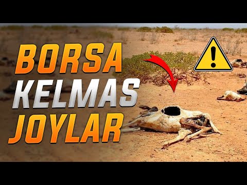 BORSA KELMAS XAVFLI JOYLAR | DUNYODAGI ENG XAVFLI JOYLAR