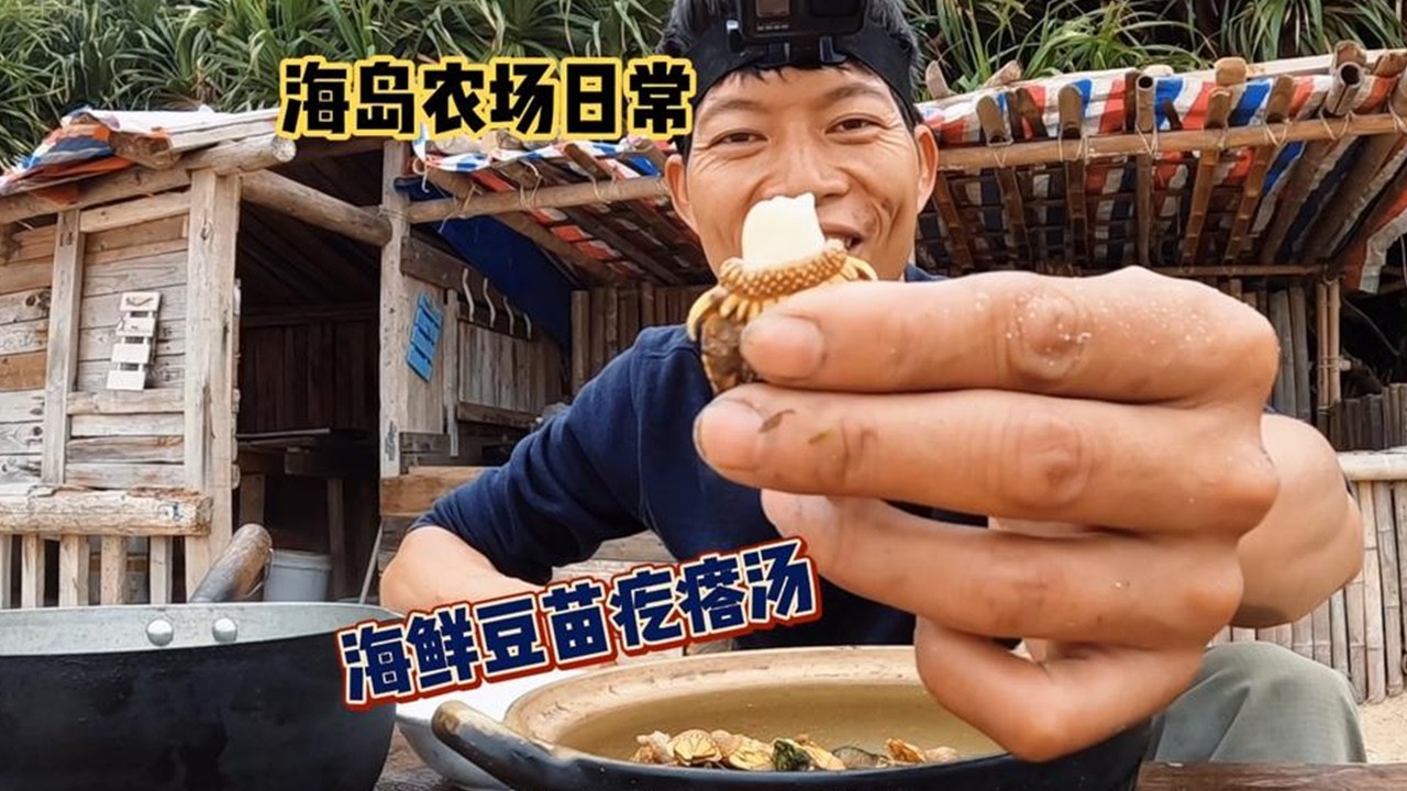 【海島世外桃源】今天是壹檔美食節目 趕海收獲滿滿#歡迎光臨我的生活 #海島度假 #海島世外桃源 #海島田園記#vlog#戶外#探險#野外求生#野外生存#荒野探險#荒島求生