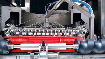 Rotary Rinser/Filler/Capper Monobloc