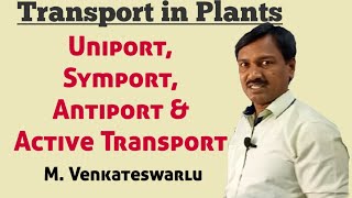 Uniport, Simport, Antiport And Active Transport Transport In Plants