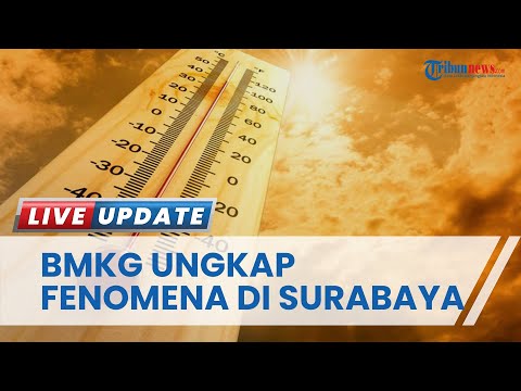 BMKG Ungkap Penyebab Peningkatan Suhu di Surabaya Panas: Ada Fenomena Aquinox dan Kulminasi Matahari