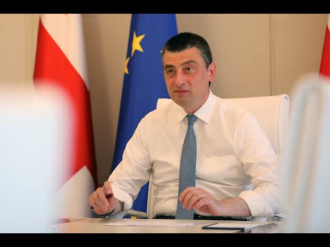 ვიდეოკონფერენცია კემბრიჯისა და ლონდონის უნივერსიტეტების წამყვან ექსპერტებთან