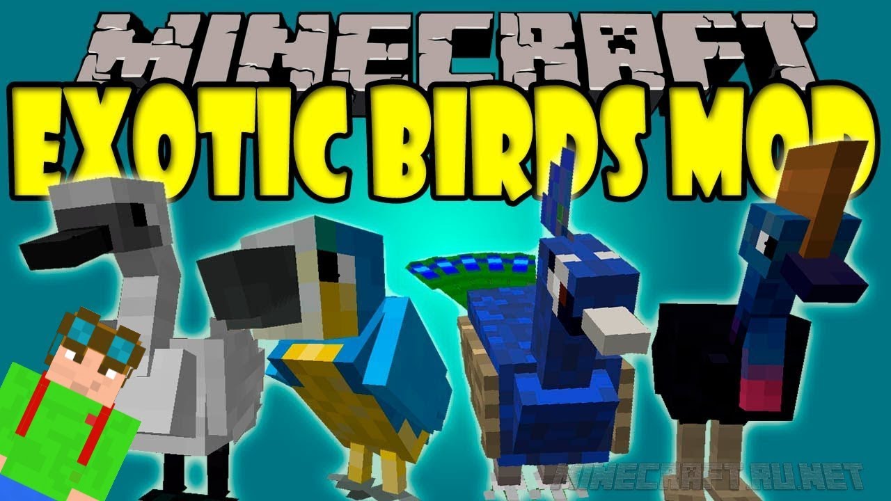 Minecraft birds. Мод на птиц в майнкрафт. Exotic Birds майнкрафт мод. Экзотические моды для майнкрафт. Птица майнкрафт.