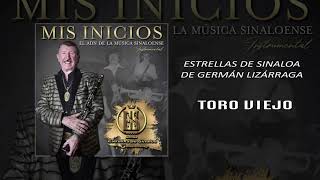 Estrellas de Sinaloa - Toro Viejo 🐂 🐃  | INSTRUMENTAL