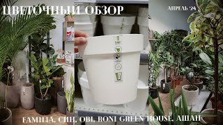 :   Familia, , Hoff, OBI, RONI Green House,  /  24
