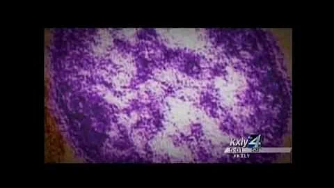 B112F151 194F 4684 8561 D888E4FE95CE