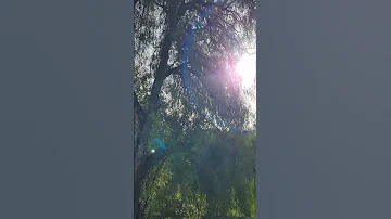 یا رب نظری بر من سرگردان کن لطفی به من دلشده حیران کن با من مکن آنچه من سزای آنم آنچ از کرم و لط 