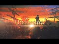 Fox sailor  undaunted official audio  pirate folk metal