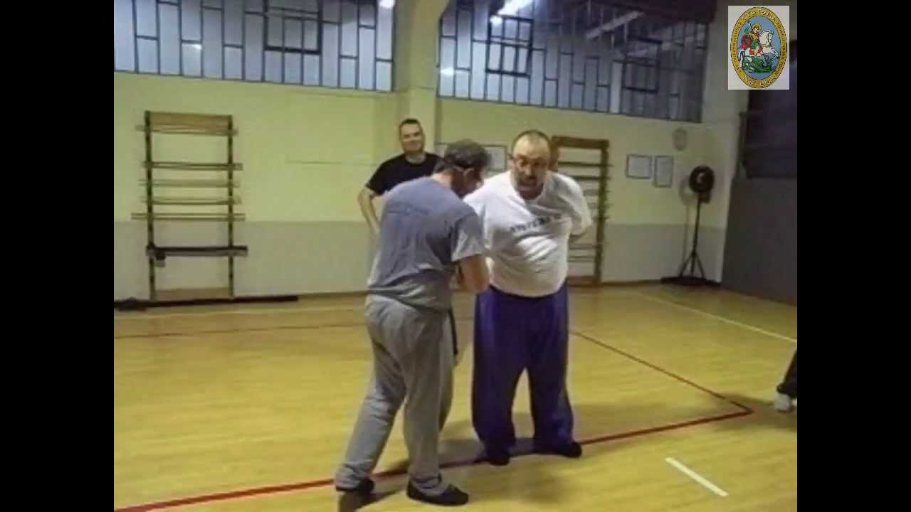 Systema Seminar, Athens,May 2013 pt 1,Instructor: ANDREAS WEITZEL