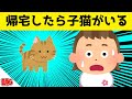 家に帰ったら子猫がいた時の娘の反応が可愛すぎるwww