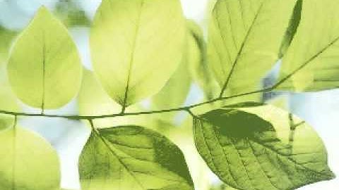 Why did Allaah create us? (A Talk with the Youth of MTWS) - 