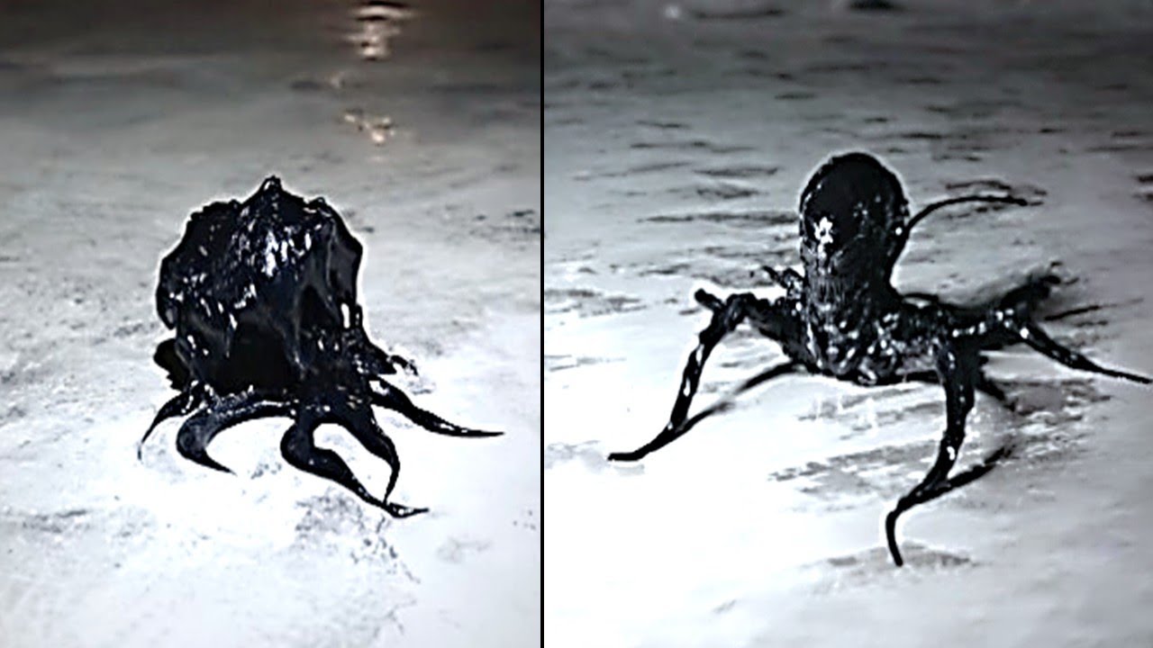 Man Gives Chilling Update On The Alien Entity He Found Inside A Crashed ...