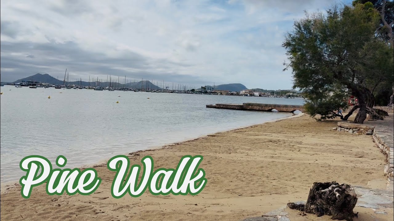 Walking the Famous Pine Walk in Puerto Pollença 🇪🇸 | Mallorca’s Most Beautiful Seaside Stroll 
