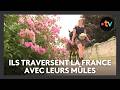 Ce couple traverse la France avec leurs deux mules