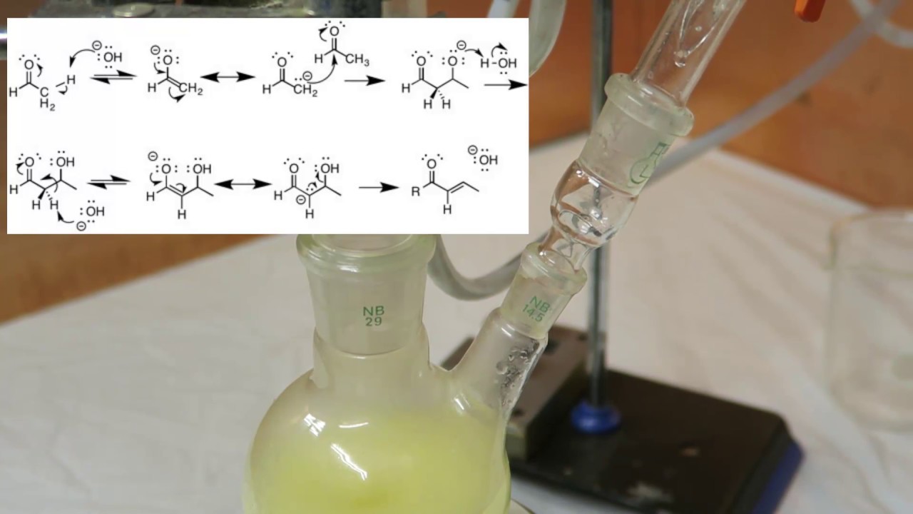 synthesis of cinnamaldehyde and the aldol reaction YouTube