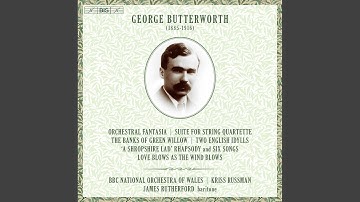 Suite for String Quartette (Arr. for String Orchestra by K. Russman) : III. Allegro molto