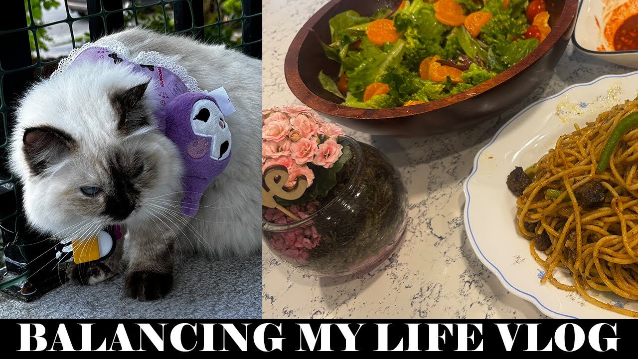 My Day Vlog:Morning walk,Cat first Birthday . Meal Prep & Grandma's Spaghetti