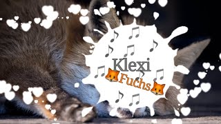 Lixitus aka Klexifuchs spielt für @Reyst was auf Piano | | PianoFreudeFürRandomStreamer Folge 1