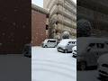 A snowy Day of 2026 in Tokyo,japan
