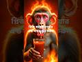 Monkey Eats Chili Juice 🌶️🔥 Ears Caught Fire! Funny Animal #shorts