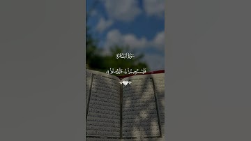 قرآن كريم راحة نفسية 🤍🎧 متابعة للصفحة فضلاً 🥰🤍