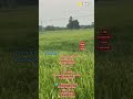 🌱 3 Acres Red Soil Land | Full Water | Near Highway | Ghanpur (Station), Jangaon | Clear Title
