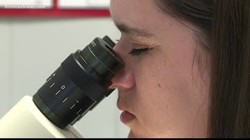 VIDEO: Clay County fights against mosquitoes, West Nile virus