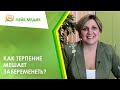 🤦‍♀️ Как терпение мешает забеременеть?