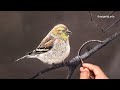 How to paint a bird l oil painting l thangaraj arts l 142