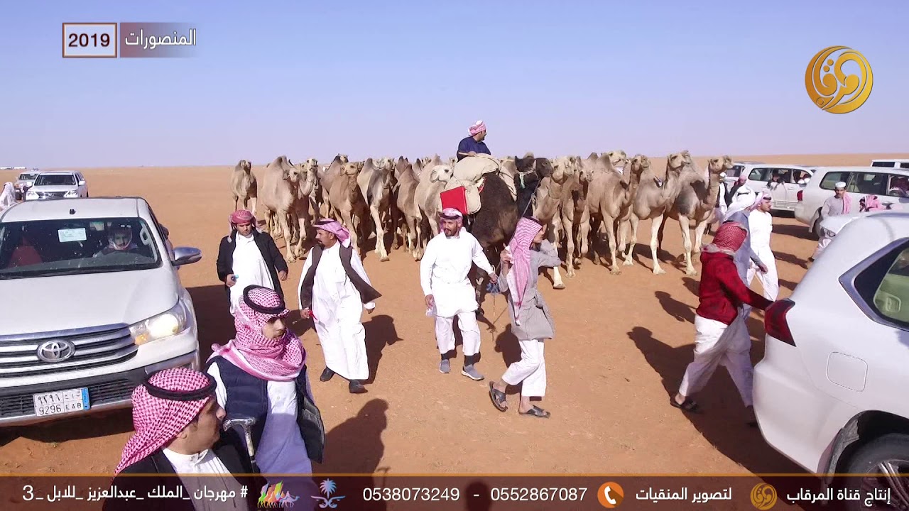 مسيرة منقية منصور بن بندر بن شعلان العتيبي || المنصورات 2019