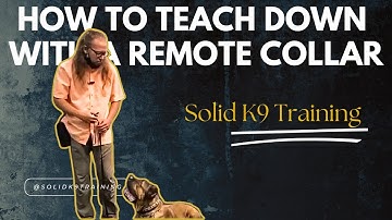 Teach your dog the DOWN command with an E collar!
