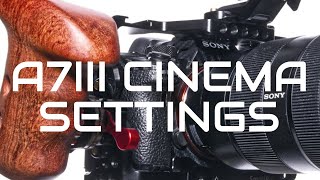 Sony A7III CINEMA - ALL settings for cinematic filmmaking (FW 3.10/2020)