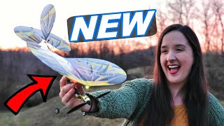 BRAND NEW RC Plane w/ LIGHTS Under $130  UMX Night Vapor  TheRcSaylors