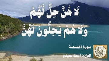 060 أحمد نعينع - سورة الممتحنة