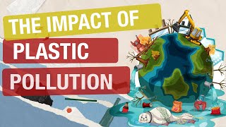 Plastic Pollution: Its Cause and Effects