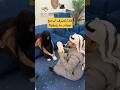 أب سعودي مع ابنته ما رأيكم بتصرفه