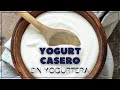 Yogurt casero muy cremoso sin yogurtera  despus de probar esta receta nunca ms comprs yogurt