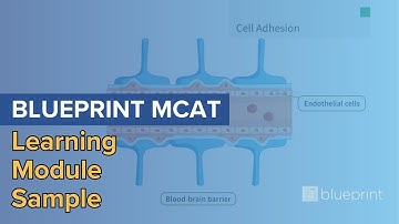Blueprint MCAT Learning Module Sample: Non-Enzymatic Protein Function