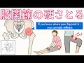 【股関節が硬い】意外な原因と知るだけで動かしやすくなるボディマップイメージ