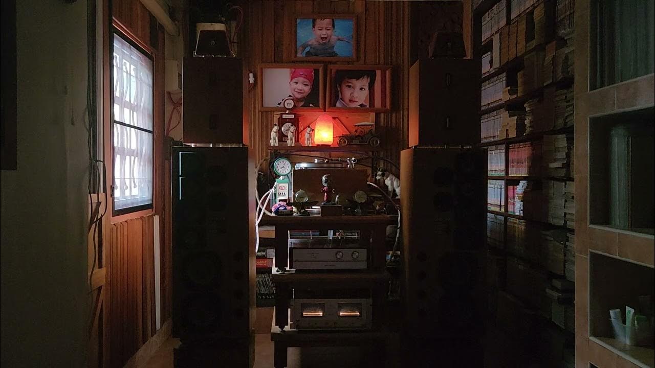 Father and son ,Tea for the Tillerman ,Wild world Cat Steven's Tea