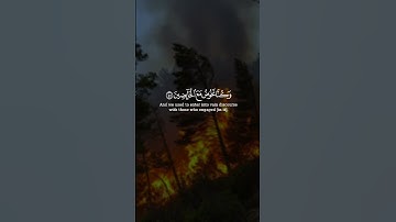 ما سلككم في سقر قالوا لم نك من المصلين و لم نك نطعم المسكين || سورة المدثر || القارئ: ناصر القطامي