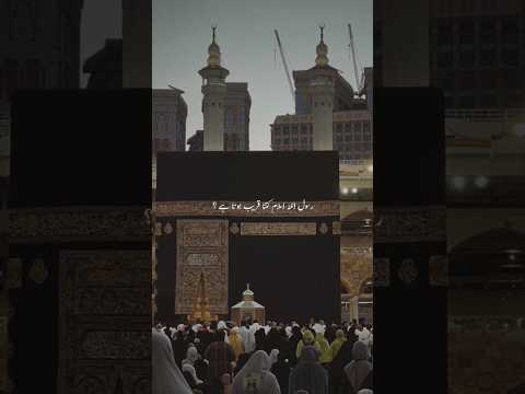 ผลสลากกินแบ่งรัฐบาล วันที่ 1 พย. 2567